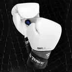 PunchTown BXR eX White Sparring Gloves